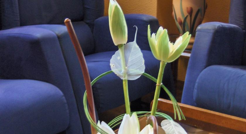 Отель Hotel Los Castaños