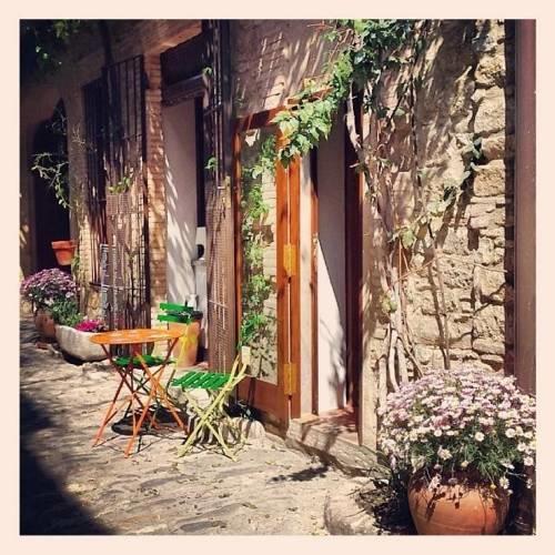 Отель Hotel el Cau del Papibou