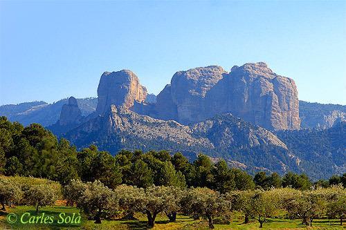 Отель Camping Els Ports