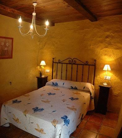 Отель Hotel Enrique Calvillo