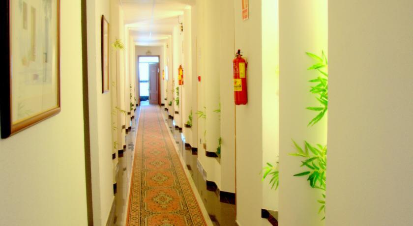 Отель Hotel Palmero