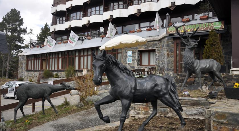 Отель Hotel Amoretes