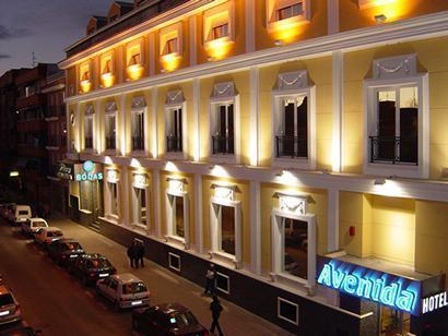 Отель Hotel Avenida Leganés
