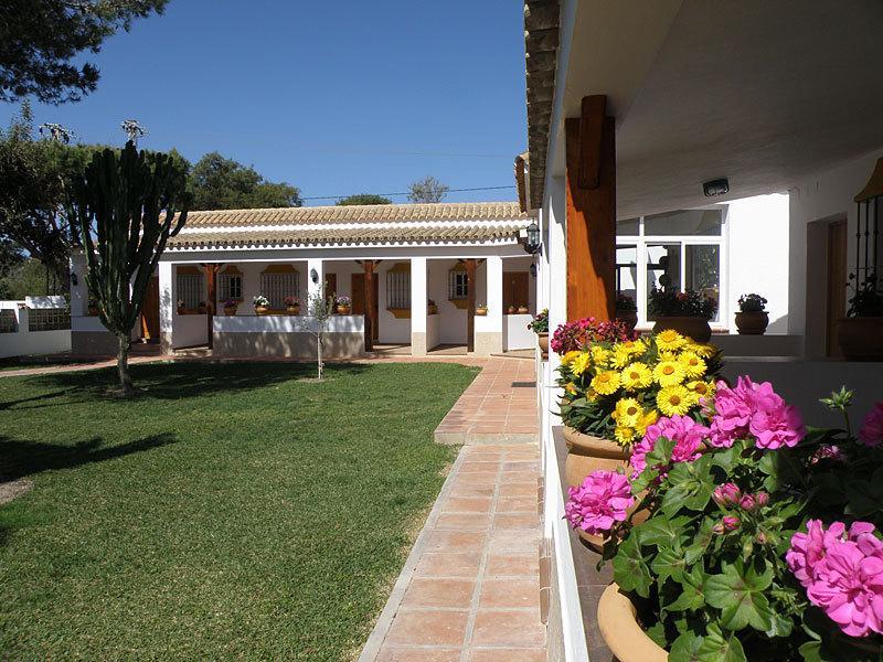 Гостевой дом Hostal Las Acacias