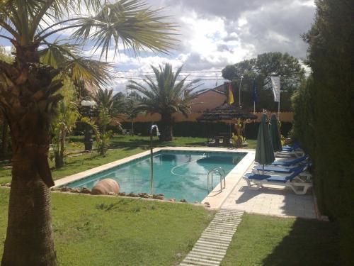 Отель Hotel Iris