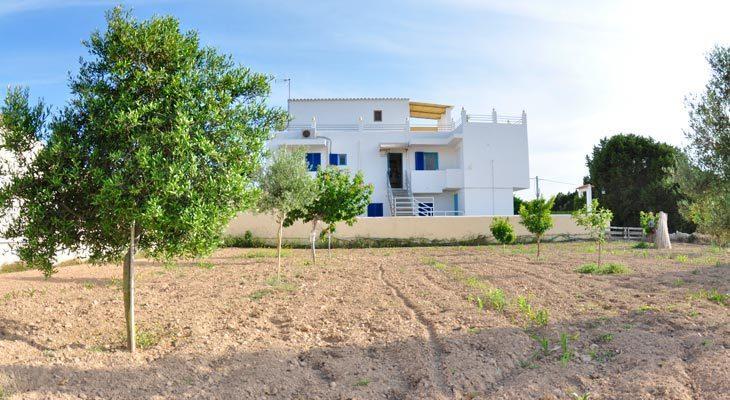 Апартаменты Apartamentos Mayans