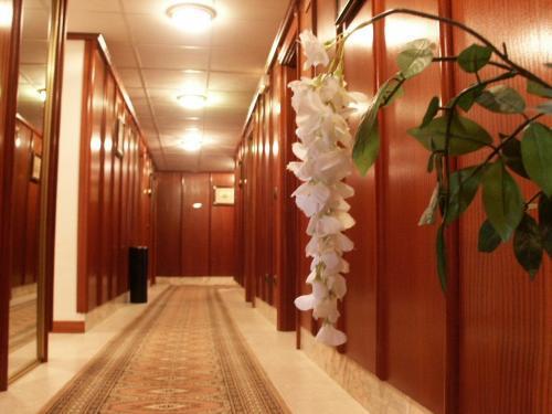 Отель Hotel Pelayo Noja