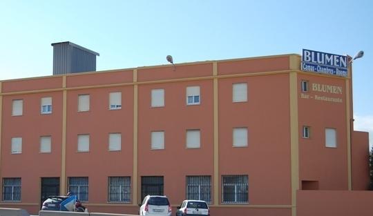 Гостевой дом Hostal Blumen