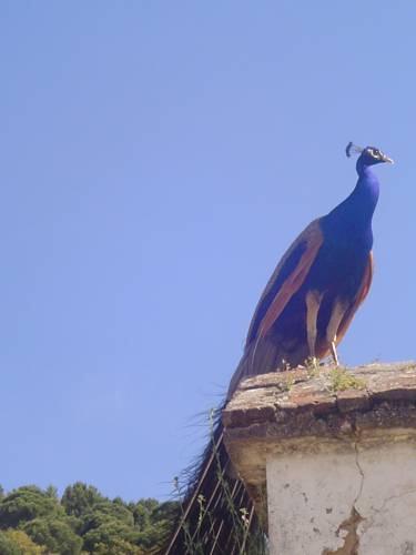 Отель Casa Rural La Lima