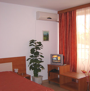 Polyusi
