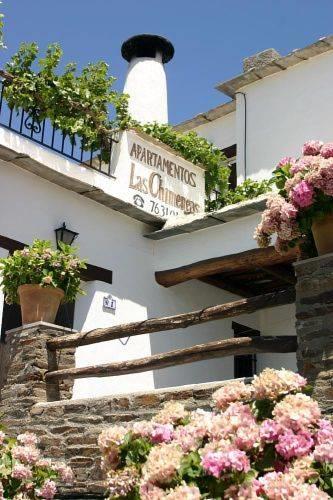 Апартаменты Apartamentos Turisticos Las Chimeneas