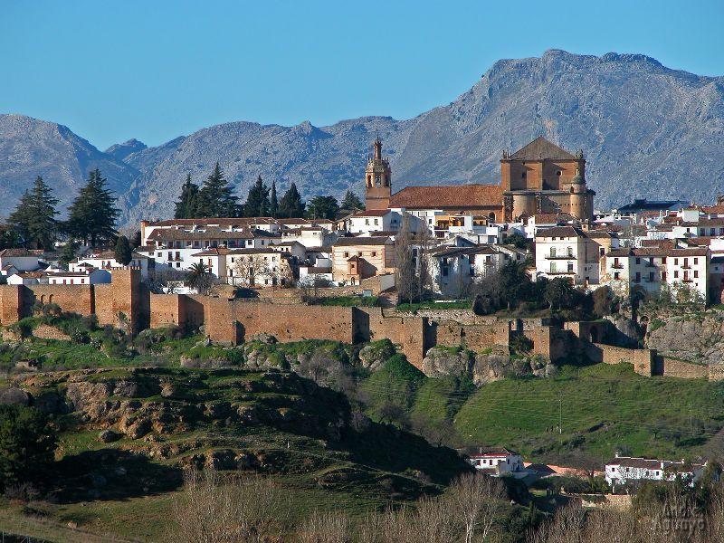 Апартаменты Complejo Turistico El Sur