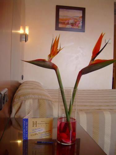 Отель Hotel Montera Plaza
