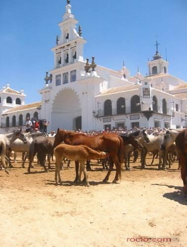 Гостевой дом Hostal Rural La Fonda Del Rocio