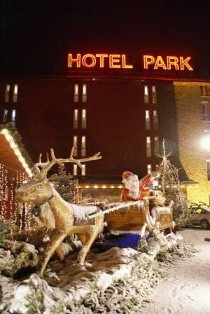 Отель Puigcerda Park Hotel