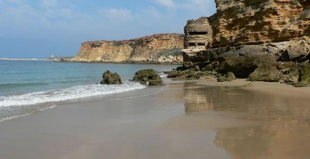 Гостевой дом Hostal El Arco