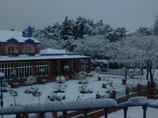 Отель MS Fuente Las Piedras