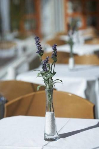 Отель Park Sedo Benstar Hotel Group