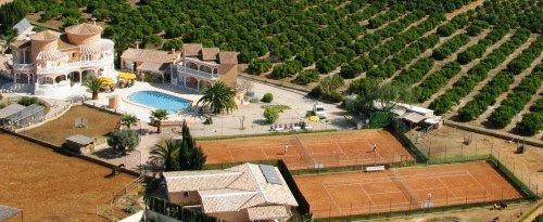 Отель Hotel Los Caballos