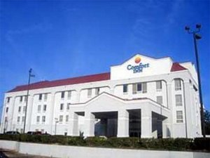 Отель Comfort Inn Blythewood