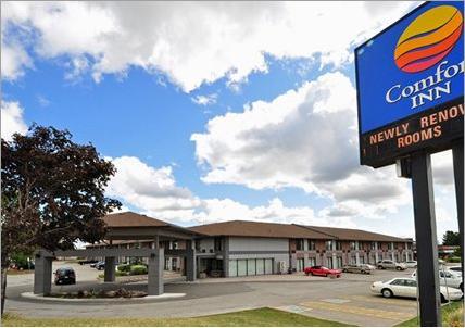 Отель Comfort Inn Airport West