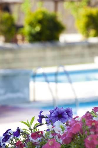 Апартаменты Atenea Park Suites & Apartments