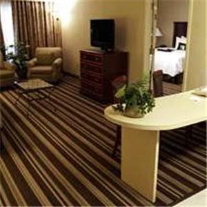 Отель Hampton Inn & Suites Memphis-Beale Street