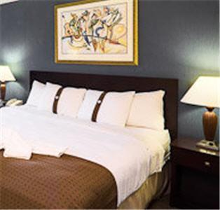 Отель Holiday Inn Opryland-Airport (Briley Parkway)