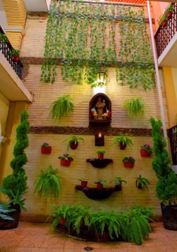 Отель Hotel Del Carmen