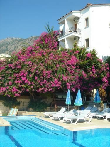 Habesos hotel 