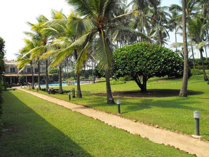 Отель Palm Village
