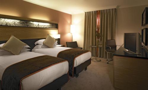 Hilton Dublin Hotel