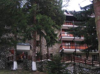 Отель Bradul Hotel