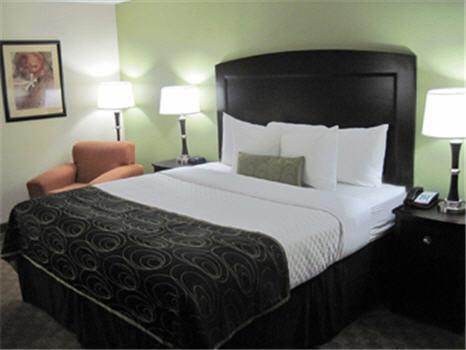Отель BEST WESTERN PLUS Addison/Galleria Hotel