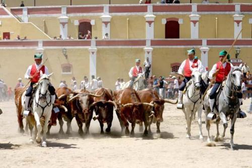 Отель Hotel Leziria Parque