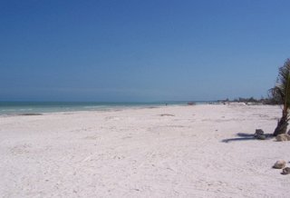 Отель Palapas Las Gonzas