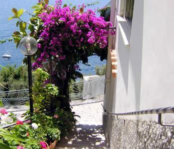 Отель Hotel La Perla