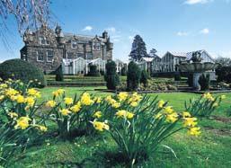 Отель The Landmark Dundee