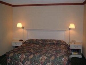 Отель Quality Inn and Suites