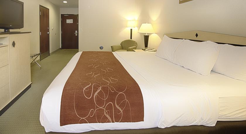 Отель Comfort Inn & Suites Airport