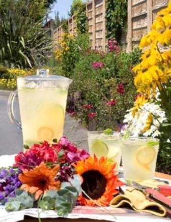 Отель Best Western Plus Garden Inn