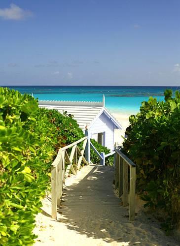 Отель Pink Sands Resort
