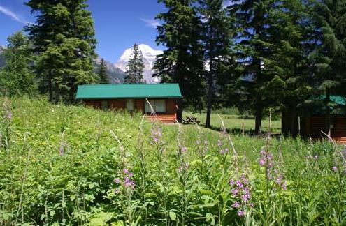 Отель Mount Robson Lodge