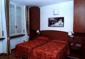 Отель Hotel Saini