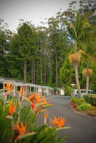Отель Abilene Garden Motel