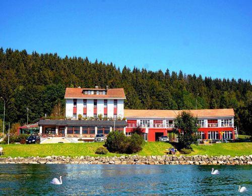 Отель Bellevue le Rocheray