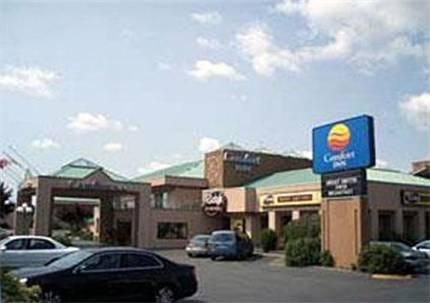 Отель Comfort Inn