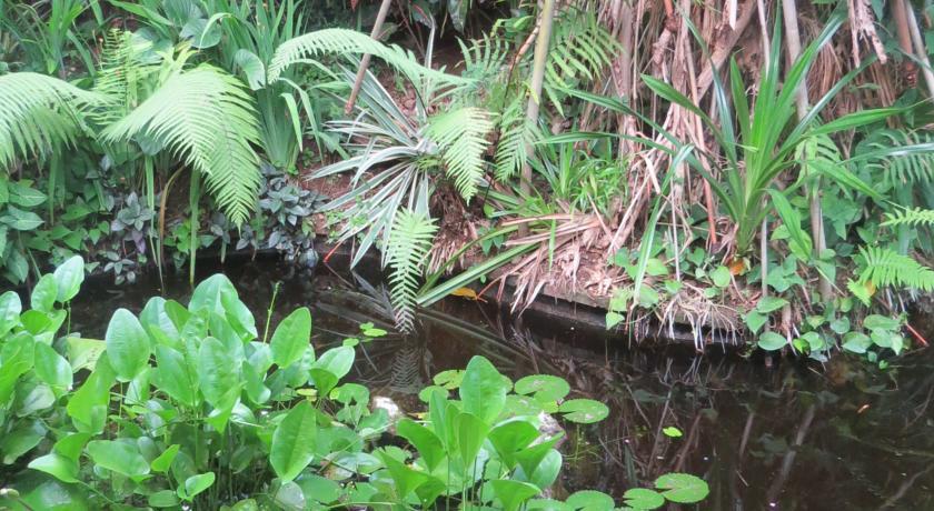Отель The Water Garden Hotel