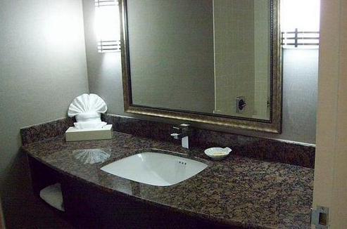 Отель Holiday Inn Rolling Meadows-Schaumburg Area
