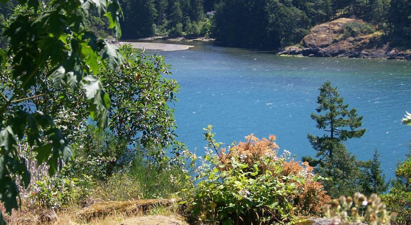 Мини-отель Moonlit Cove B&B